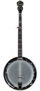 Ibanez Artist 'Masterclone' Lawsuit Era Banjo 1974