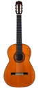 Nico Van Der Waals Brazilian Rosewood German Spruce 1978