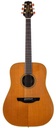 Takamine N15 1986