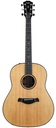 Taylor 717e Builder's Edition 2022