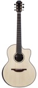 Lowden Pierre Bensusan Signature Madagascar Rosewood Adirondack #27823