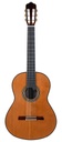 Alhambra Linea Professional Indian Rosewood Cedar