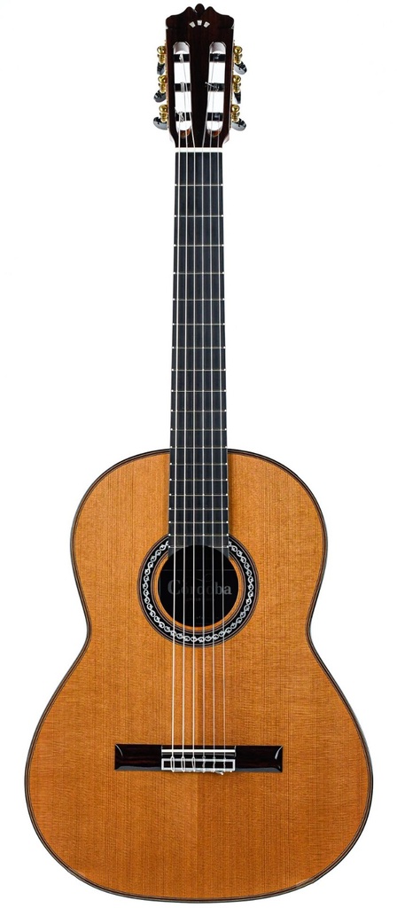 Cordoba C10 7/8 Rosewood Cedar Used