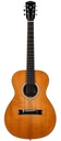 Wilborn L Model Figured Sapele Sitka Spruce 2014