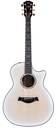 Taylor 614ce LTD 50th Anniversary