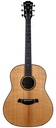 Taylor Builders Edition 717e 2021