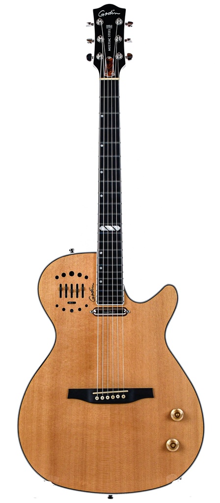 Godin Multiac Steel HG 2021