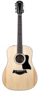 Taylor 150E 12 String 2022