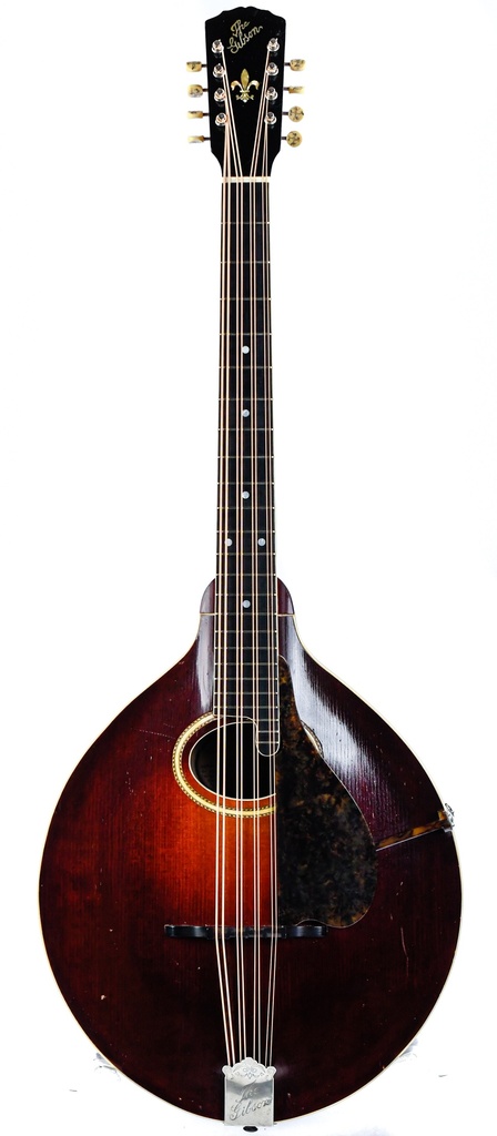 Gibson K2 Mandocello 1918