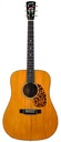 Blueridge BR5060 John Jorgenson Signature Desert Rose 2016