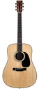 Eastman E20D Adirondack Rosewood 2020