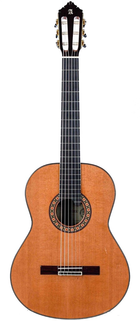 Alhambra 10 Premier Cedar Rosewood 2021