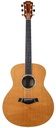 Taylor GS Series Western Red Cedar Tropical Mahogany 2006