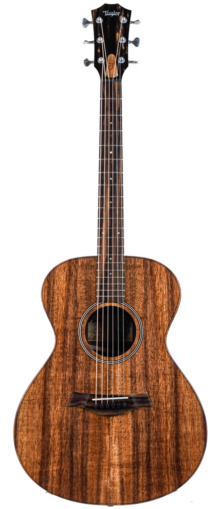 Taylor Jacob Collier Signature Model 6 String