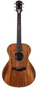 Taylor Jacob Collier Signature Model 6 String