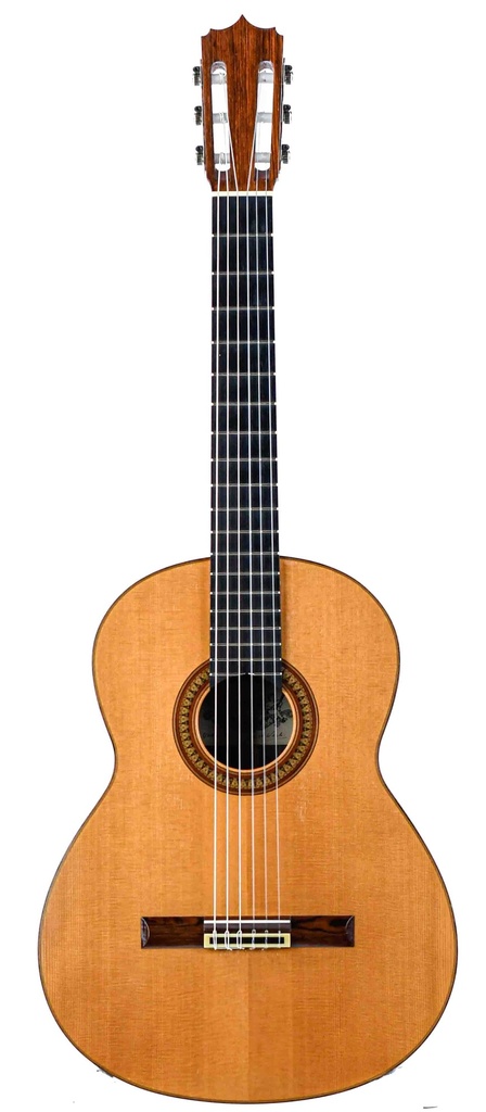 Nico Van Der Waals Concert Brazilian Rosewood Spruce 1970