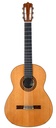 Nico Van Der Waals Concert Brazilian Rosewood Spruce 1970