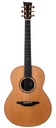 McIlroy AS35 Cedar Indian Rosewood 2020