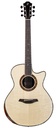 Furch Red Deluxe GC LI Alpine Spruce Malaysian Blackwood