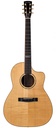 Huss & Dalton CM Custom Australian Blackwood 2011
