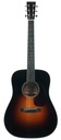 Collings D1A HC Hill Country Sunburst