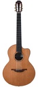 Lowden S25J Jazz Nylon Crossover Cedar Indian Rosewood 2014