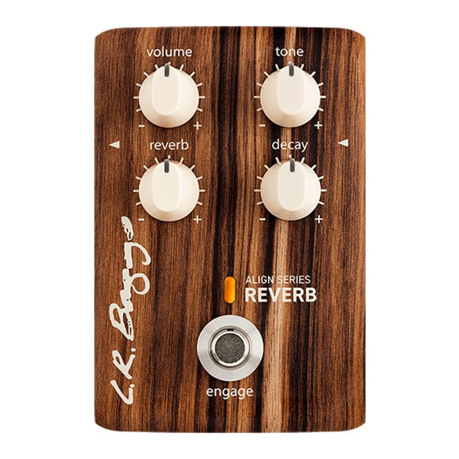 LR Baggs Align Reverb