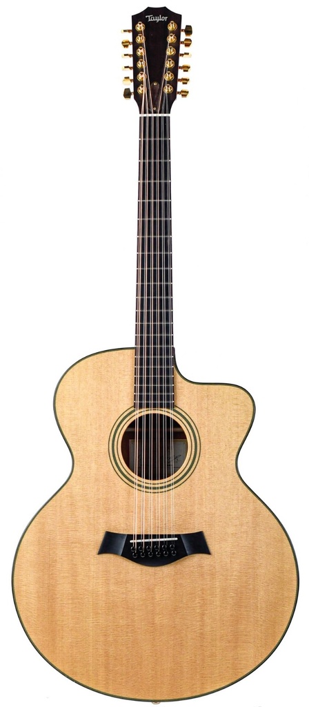 Taylor LKSM Leo Kottke 2008