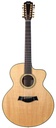 Taylor LKSM Leo Kottke 2008