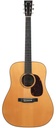 Collings D1A Adirondack Mahogany 2013