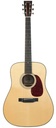 Collings D2HA Adirondack 2025