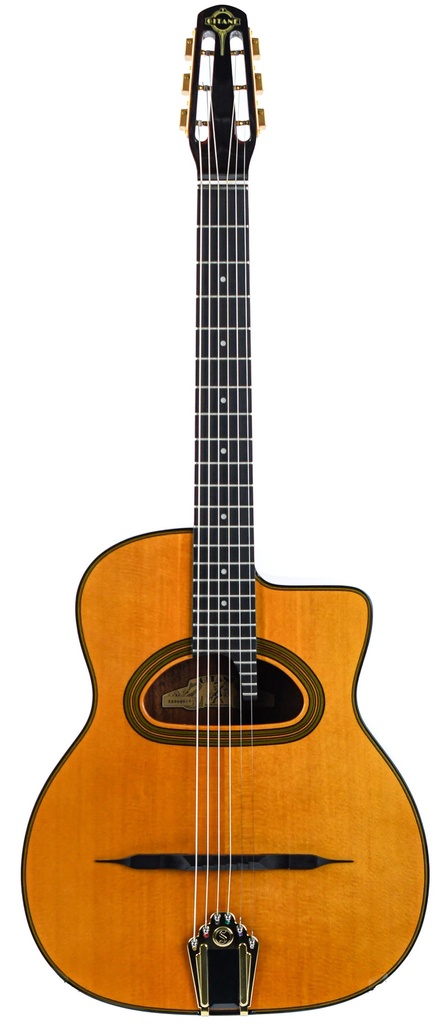 Gitane D500