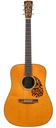 Blueridge BR160