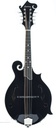Eastman MD415BK F Style Mandolin Black