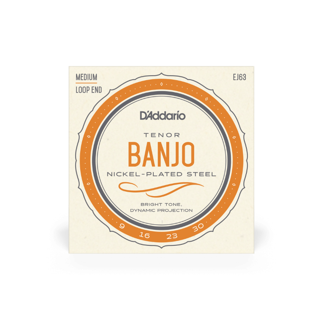 D'Addario EJ63 Tenor Banjo Nickel 9-30