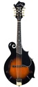 Kentucky KM850 F-Style Mandolin