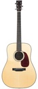 Collings D2HA Adirondack
