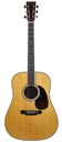 Martin HD35