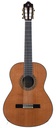 Alhambra 8P Cedar Indian Rosewood