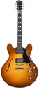 Eastman T486 Goldburst