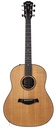 Taylor Builder's Edition 717e