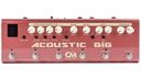 Carl Martin Acoustic Gig Multi-Effect