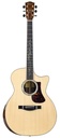 Eastman AC822ce