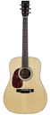 Eastman E10D Lefty Dreadnought