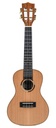 Kala KA ASCP C All Solid Pau Ferro  Cedar Concert Ukelele