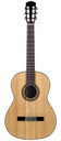Aragon AT-PL-1400 Classical Cocobolo Spruce 2020