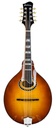 Eastman MD604 Goldburst