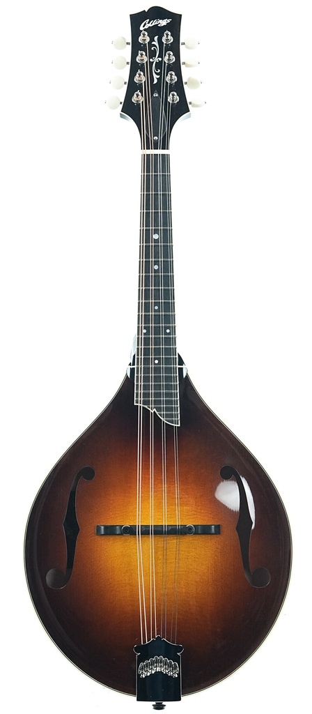 Collings MT2 Mandolin
