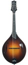 Collings MT2 Mandolin