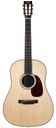 Collings DS2H